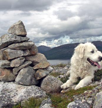 Utsikt mot Sandvatnet.